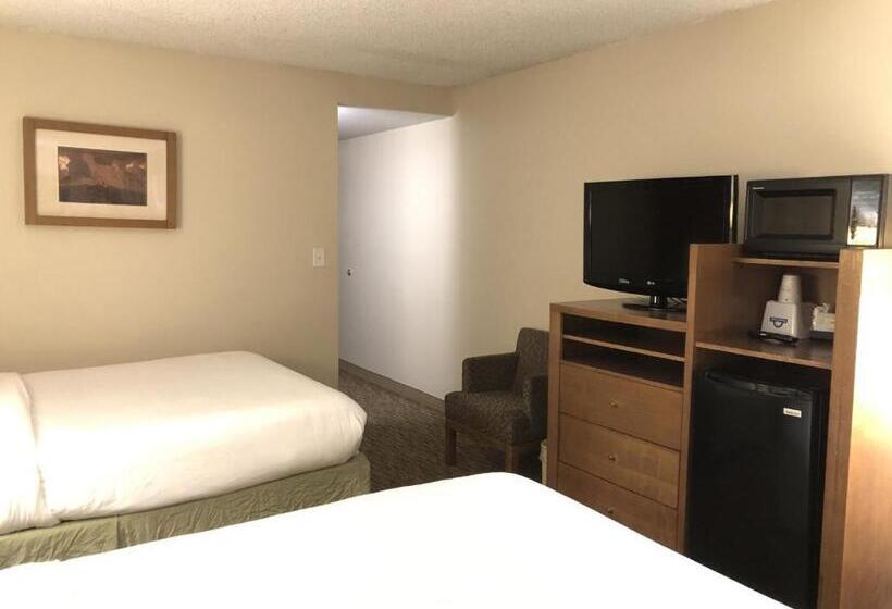 Номер Deluxe Адаптированный для Инвалидов, Days Hotel By Wyndham Peoria Glendale Area