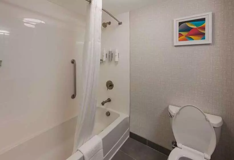 身障者適用スタンダードルーム, Doubletree By Hilton Monroe Township Cranbury