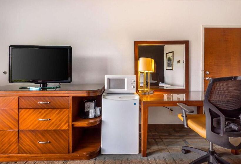 غرفة قياسية مطلّة علي حمام السباحة, The Block215