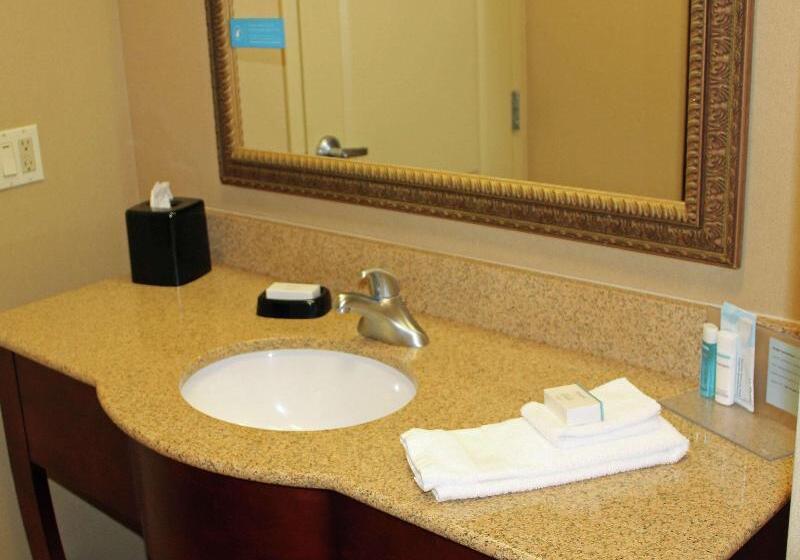 غرفة قياسية سرير كينج, Hampton Inn Gallipolis