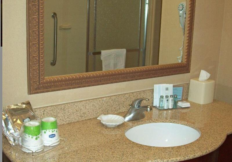 غرفة قياسية سرير كينج, Hampton Inn Gallipolis