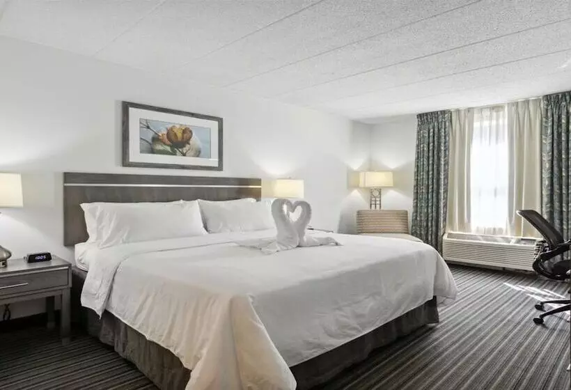 デラックスルーム, Holiday Inn Express Williamsburg North, An Ihg