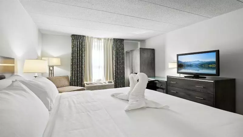 キングサイズベッドのスタンダードルーム, Holiday Inn Express Williamsburg North, An Ihg