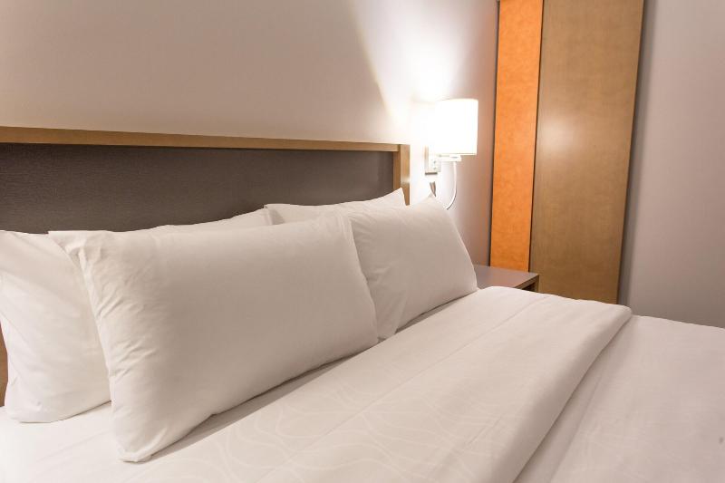 اتاق استاندارد با تخت بزرگ, Holiday Inn Express Williamsburg North, An Ihg