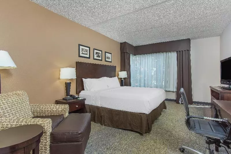 キングサイズベッドのスタンダードルーム, Holiday Inn Louisville Airport Fair/expo, An Ihg