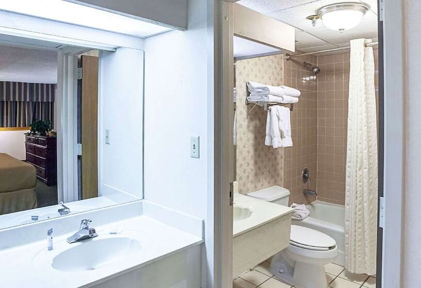 带2个双人床的标准工作室, Magnuson Grand Desoto