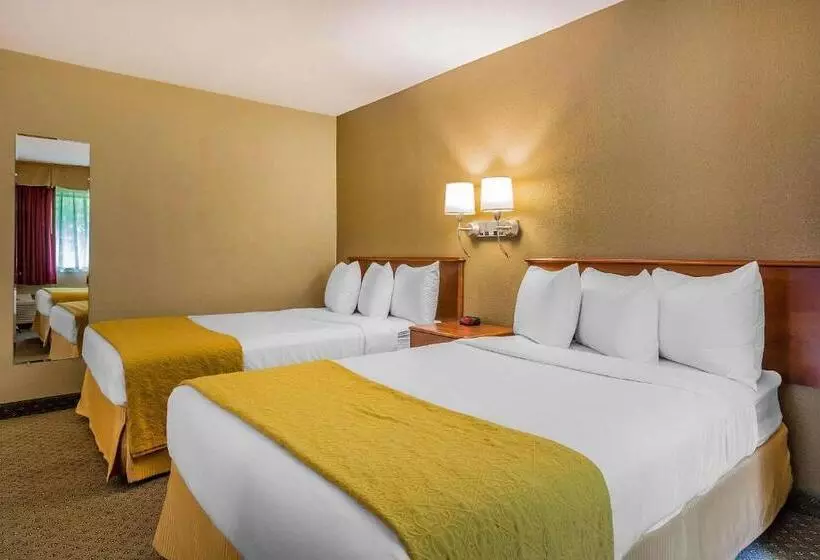 ２ダブルベッドのスタンダードルーム, Quality Inn Hyde Park   Poughkeepsie North