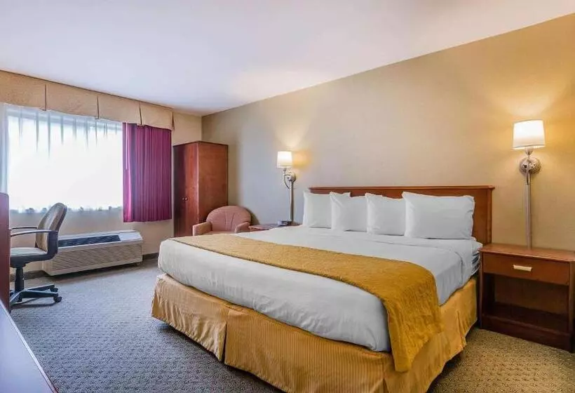 キングサイズベッドのスタンダードルーム, Quality Inn Hyde Park   Poughkeepsie North