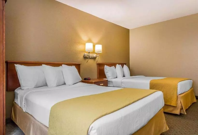 身障者適用スタンダードルーム, Quality Inn Hyde Park   Poughkeepsie North