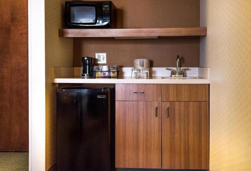 Люкс, Springhill Suites By Marriott Chicago Naperville Warrenville