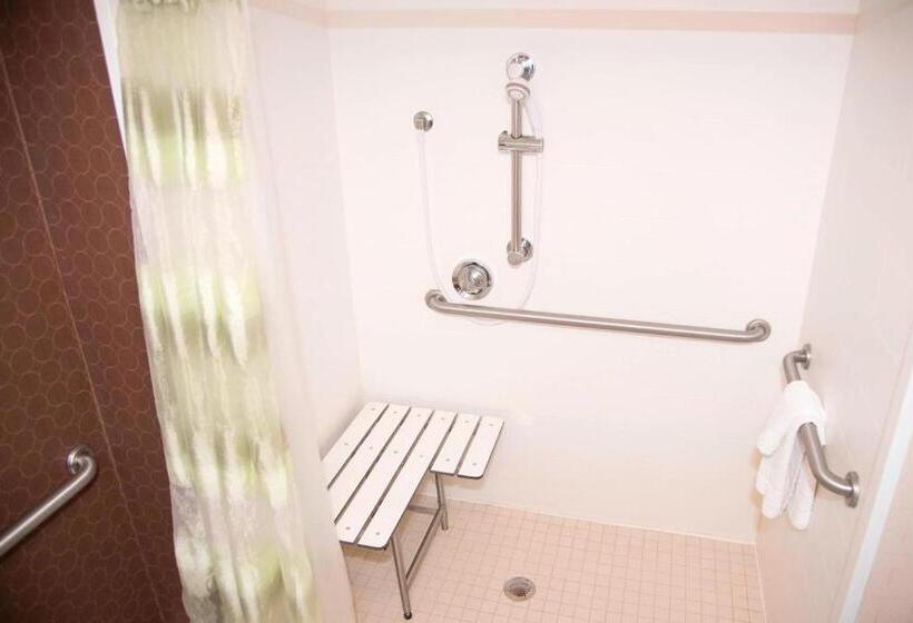 מיטת קינג בסוויטה, Springhill Suites By Marriott Chicago Naperville Warrenville