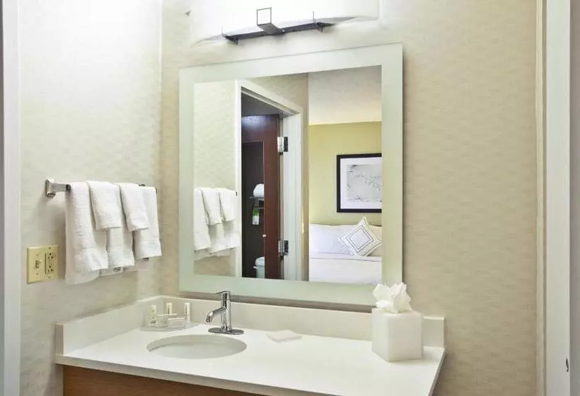 キングサイズベッドのスイートルーム, Springhill Suites By Marriott Chicago Naperville Warrenville