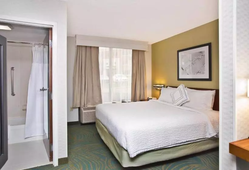 キングサイズベッドのスイートルーム, Springhill Suites By Marriott Chicago Naperville Warrenville