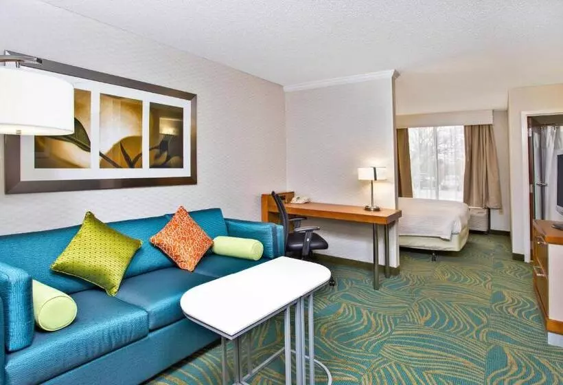 キングサイズベッドのスイートルーム, Springhill Suites By Marriott Chicago Naperville Warrenville