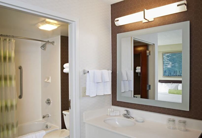 جناح, Springhill Suites By Marriott Chicago Naperville Warrenville