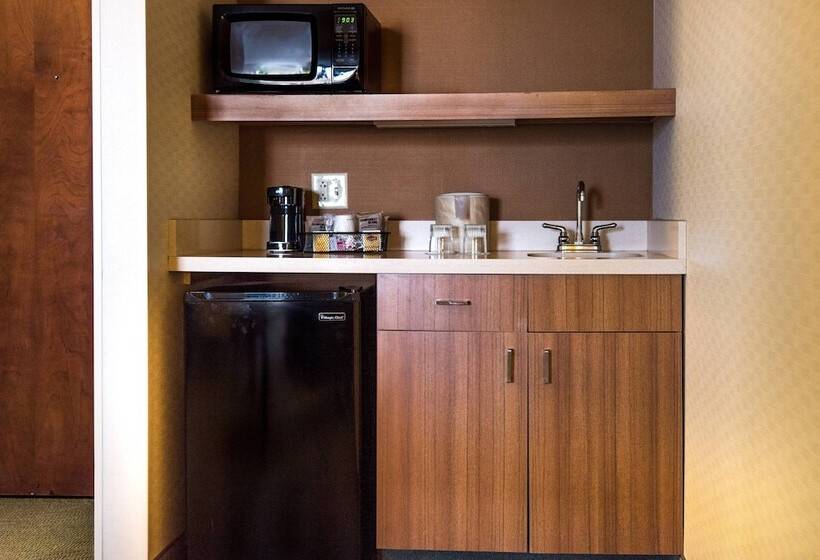 Люкс, Springhill Suites By Marriott Chicago Naperville Warrenville