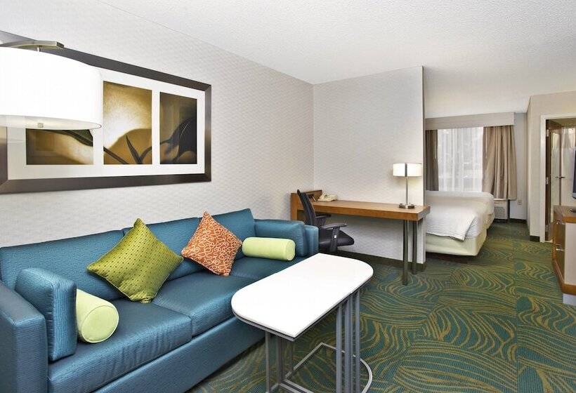 Люкс, Springhill Suites By Marriott Chicago Naperville Warrenville