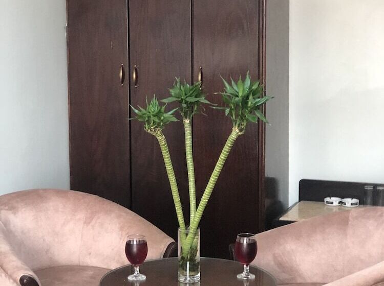 اتاق لوکس یک تخته, Dweik Hotel 2