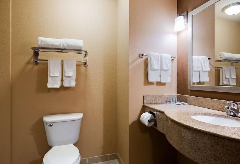 Люкс Адаптированный для Инвалидов, Best Western Granbury Inn & Suites