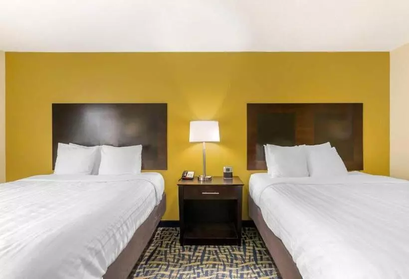 スタンダードルーム, Best Western Plus Brunswick Inn & Suites