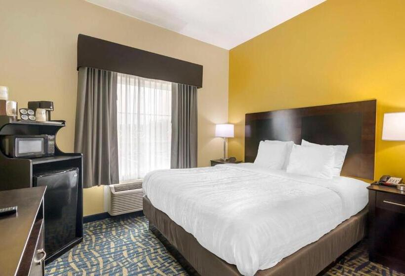 스탠다드 룸 킹사이즈 침대, Best Western Plus Brunswick Inn & Suites