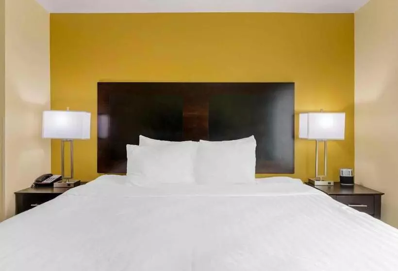 キングサイズベッドのスイートルーム, Best Western Plus Brunswick Inn & Suites