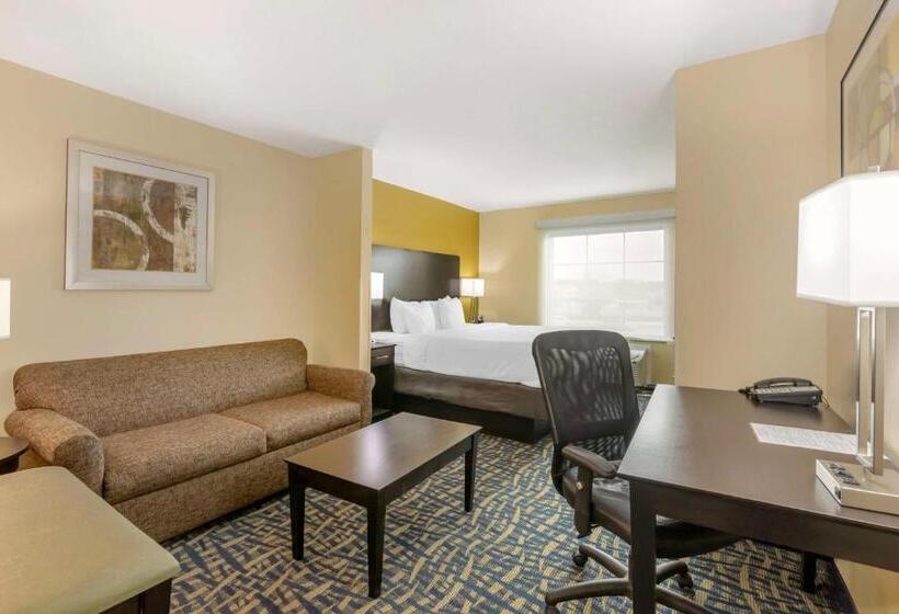 스위트 킹사이즈 침대, Best Western Plus Brunswick Inn & Suites