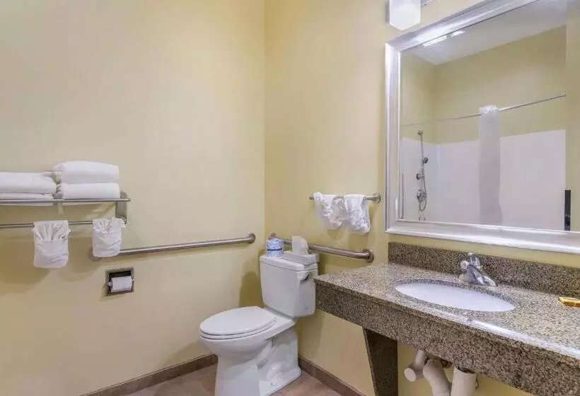 身障者適用スタンダードルーム, Best Western Plus Brunswick Inn & Suites