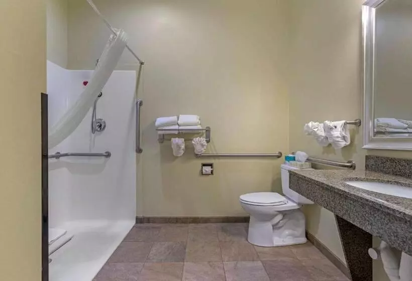 身障者適用キングサイズベッドルーム, Best Western Plus Brunswick Inn & Suites