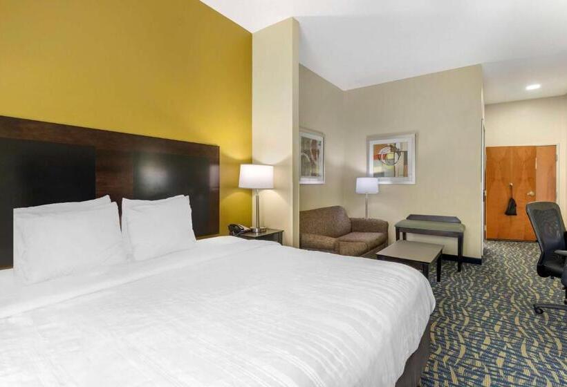 장애인을 위한 킹사이즈 침대 스탠다드 룸, Best Western Plus Brunswick Inn & Suites