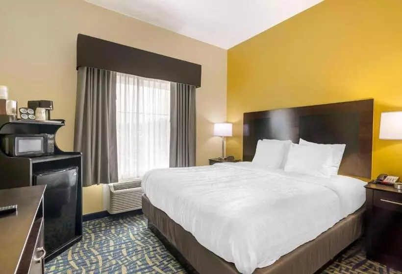 身障者適用キングサイズベッドルーム, Best Western Plus Brunswick Inn & Suites