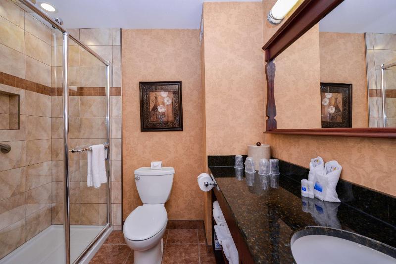 带大床的标准间, Best Western Plus Fredericton Hotel & Suites