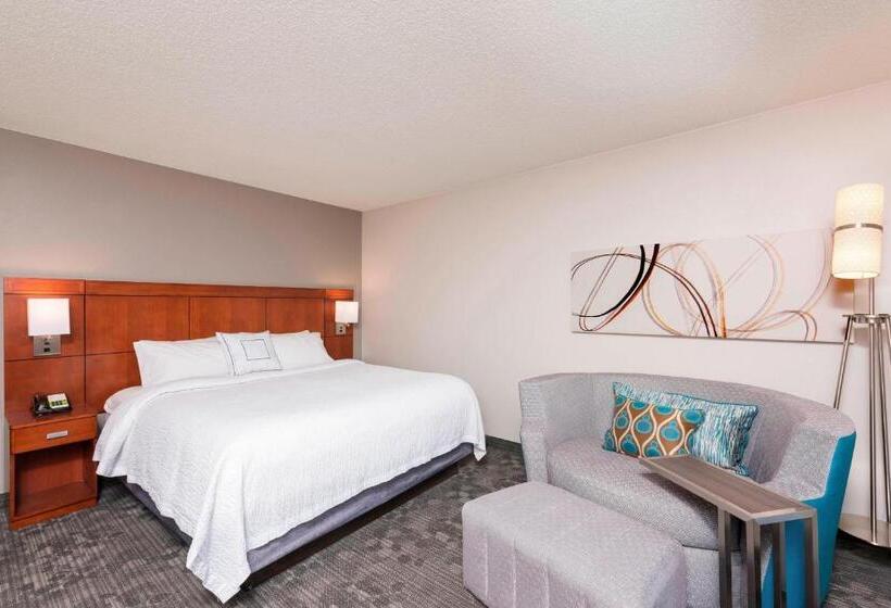 اتاق استاندارد با تخت بزرگ, Courtyard Louisville Downtown