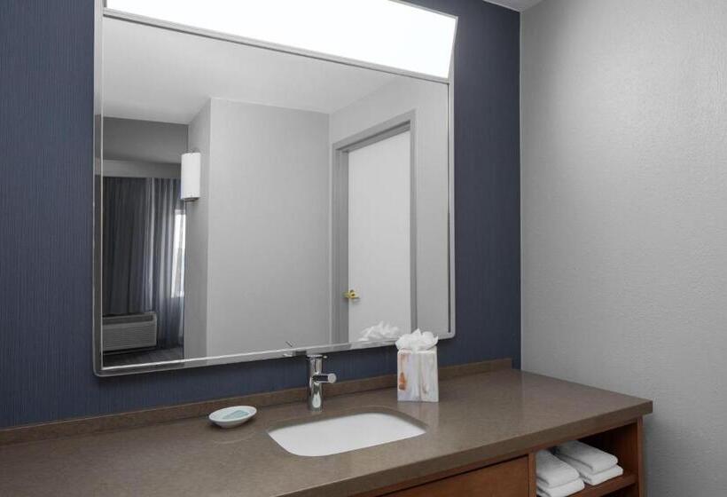 غرفة قياسية سرير كينج, Courtyard Tampa Oldsmar