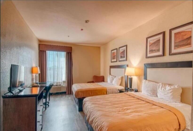 غرفة قياسية, Express Inn & Suites