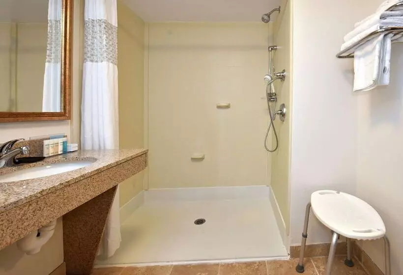 身障者適用スタンダードルーム, Hampton Inn Alexander City