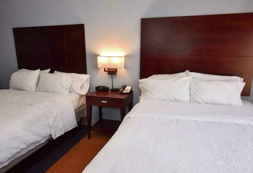 身障者適用スタンダードルーム, Hampton Inn Alexander City