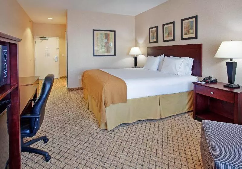 キングサイズベッドのスタンダードルーム, Holiday Inn Express Hotel & Suites Wichita Airport, An Ihg