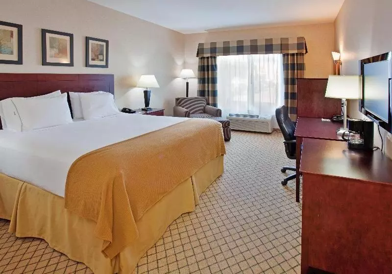 キングサイズベッドのスタンダードルーム, Holiday Inn Express Hotel & Suites Wichita Airport, An Ihg