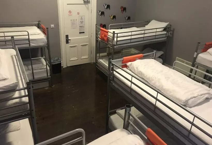 Vuode Makuusalissa, Albatross Hostel