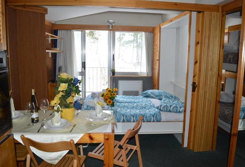 1 Bedroom Apartment Mountain View, Residence Il Vigo Di Marilleva