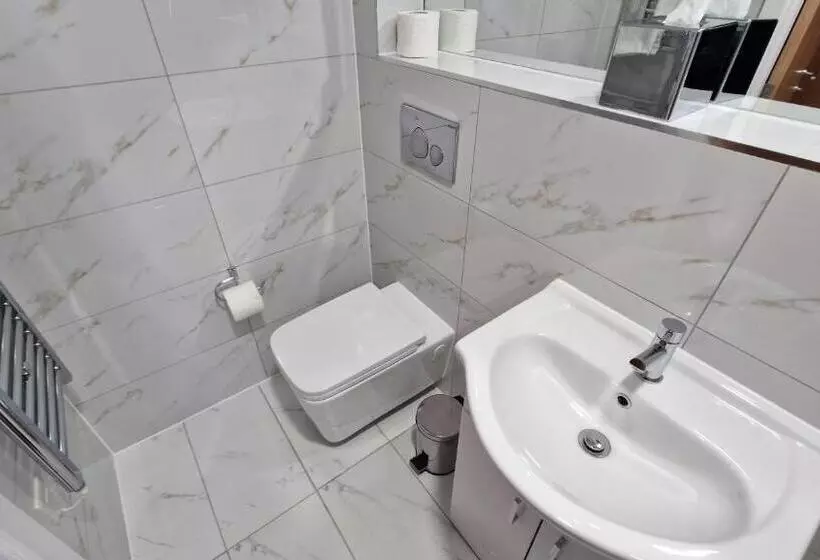 اتاق استاندارد با تخت بزرگ, Best Western Northfields Ealing