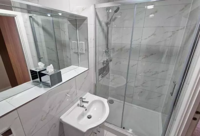 اتاق استاندارد با تخت بزرگ, Best Western Northfields Ealing