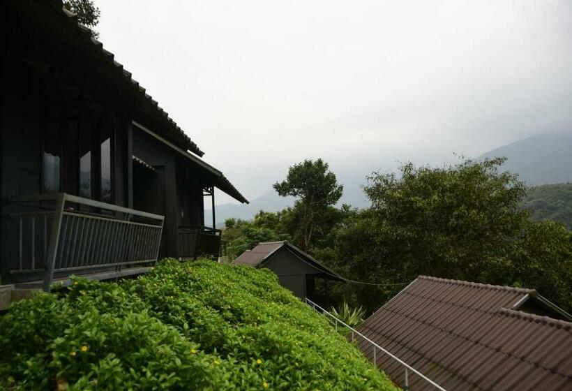 スーペリアーバンガロー, Wayanad Village Resort