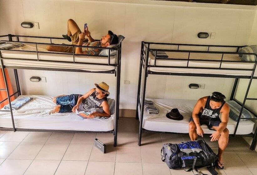 共用房间的床, Nomads Airlie Beach