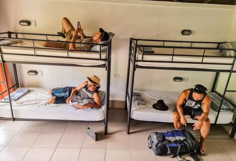 تختخواب در اتاق مشترک, Nomads Airlie Beach