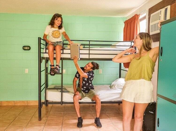 共用房间的床, Nomads Airlie Beach