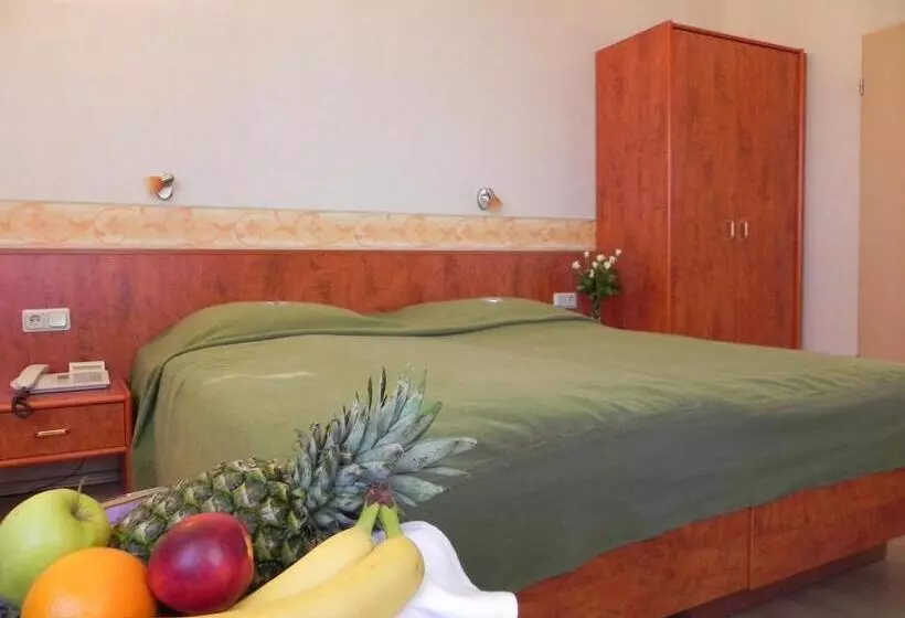 スタンダードルーム, Bahnhof Hotel Saarlouis