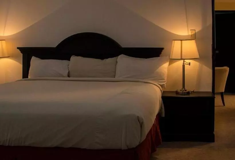 سوئیت 2 خوابه, Gran Hotel Ccp Suites