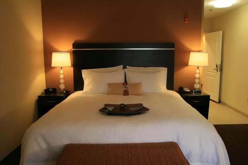 キングサイズベッドのスタンダードルーム, Hampton Inn La Junta